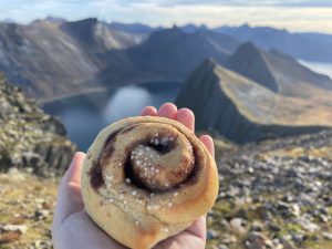 Mehr über den Artikel erfahren Husfjellet